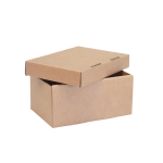 Segia Box 25x20x12 cm